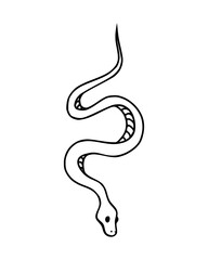 Simple Snake Outline Illustration