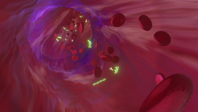 Blood Vessel: Red Blood Cells with RNA/DNA in Blood Stream