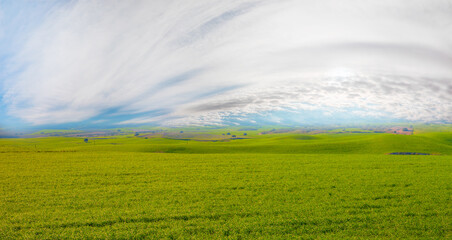Green grass field with cloudy sky