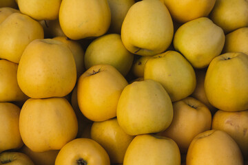 yellow apples background