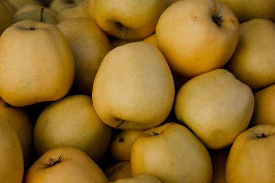 yellow apples background
