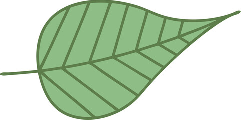 flat color retro cartoon green leaf