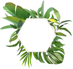 Banner tropical leaves and branches isolated on white background. Illustration for design wedding invitations, greeting cards, postcards. Spring or summer flowers with space for your text