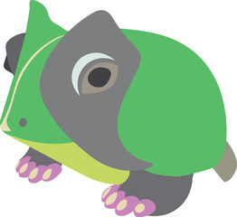 Frog toad illustration.