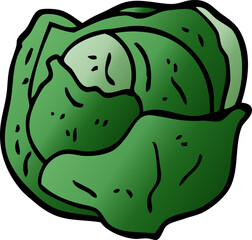 cartoon doodle cabbage