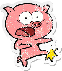 distressed sticker of a cartoon pig shouting and kicking