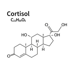 Cortisol hormone icon vector outline illustration. Hydrocortisone chemical molecular structure 