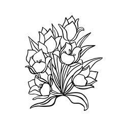 Flower tulip. Black outline on white background, vector illustration