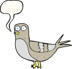 speech bubble cartoon pigeon