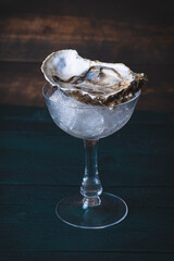 Oyster in the vintage champagne glass. Rustic wooden green table