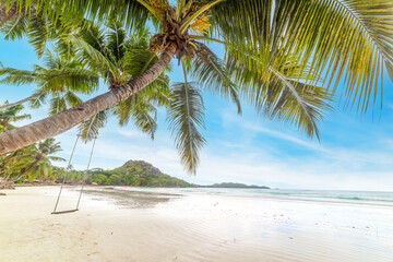 Obraz na płótnie Canvas Palm trees in Anse Volbert beach on a sunny day