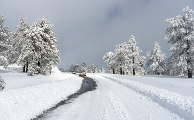 Frozen snowy icy dangerous in the mountain in winter. Troodos forest Cyprus wintertime