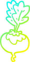 cold gradient line drawing cartoon beetroot