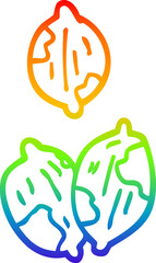 rainbow gradient line drawing cartoon nuts in shells