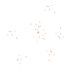 Falling Floral Petal Icon. Flowers Fall. Flying Bloom Petals Isolated on Transparent Background