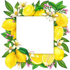 Watercolor mediterranean lemon frame