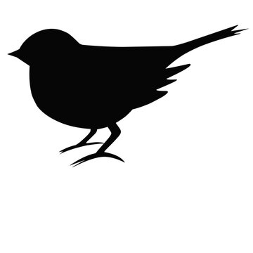 recommend clip art: Bird Silhouette