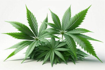 Fototapeta na wymiar Cannabis leaf, marijuana isolated over white background, image is generated with the use of an AI. Medical green leaves.