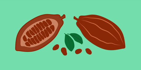 Colored cocoa bean icon.