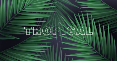 Tropical palm leaves, jungle palm leaf creating pattern on dark backdrop, modern wallpaper