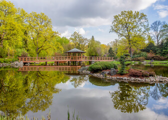 Fototapeta na wymiar Fresh light green of trees and pond wooden bridge people (distant) in Japanese garden