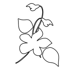 Outline Flower. Floral Illustration. Hand drawn continuous line wild elegant herb. Modern botanical rustic greenery.