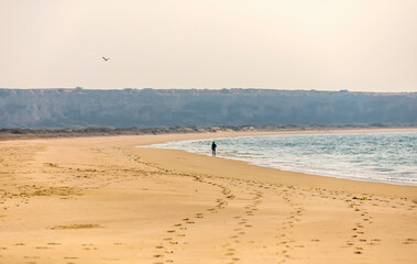 Footprints and a lonely girl walking on the empty beach with mountains in the background  