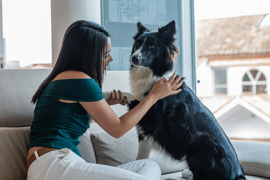 Young ethnic lady saluting cute purebred dog in living room