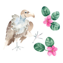Cute vulture and violet flowers isolated on white background. Watercolor hand drawn illustration.