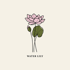 Line art water lily flower drawing
