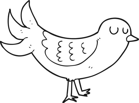 black and white cartoon bird