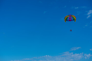 Fototapeta na wymiar Paracaidistas disfrutando de la vista en la playa