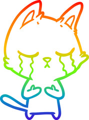 rainbow gradient line drawing crying cartoon cat