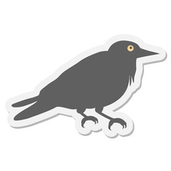 crow sticker