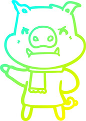 cold gradient line drawing angry cartoon pig in winter clothes