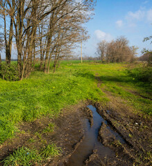 Autumn rural landscape with a bad road