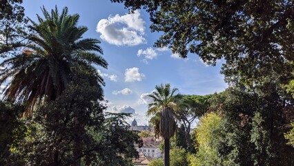 Fototapeta na wymiar Palm trees in Rome Botanical Gardens