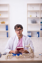 Young male paleontologist examining ancient animals at lab