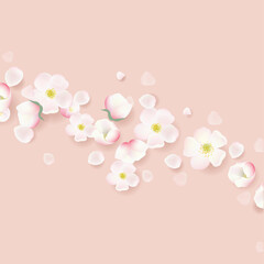 Apple Flowers Border With Pink Background