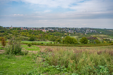 Cityscape mainz Zornheim with agricultural field, trees and plants in front during cloudy day