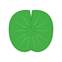 Obraz premium Lily pad icon. Lily cartoon vector on white background.
