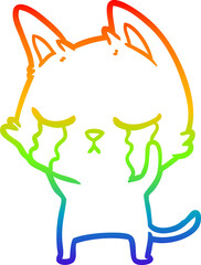 rainbow gradient line drawing crying cartoon cat