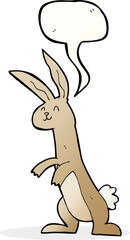 cartoon rabbit with speech bubble