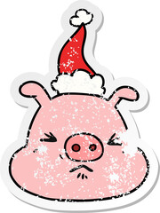 distressed sticker cartoon of a angry pig face wearing santa hat