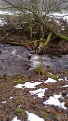 Zuflu&szlig; zum Luisenthaler Wasserfall im Schlosspark Altenstein bei Bad Liebenstein, Luisenquelle