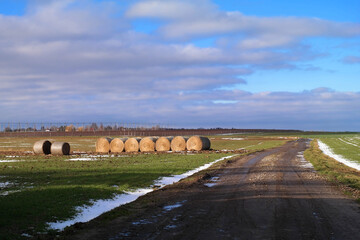 Wiosenno zimowy krajobraz wiejski, bele słomy na polach.