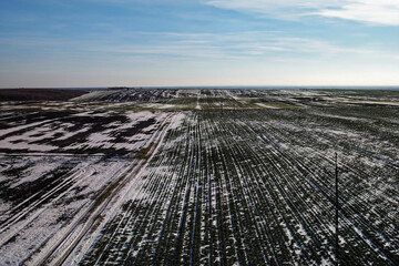 Widok na Ukraińskie pola zimą. - obrazy, fototapety, plakaty