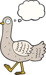 thought bubble cartoon pigeon