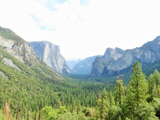 Yosemite National Park - California – USA