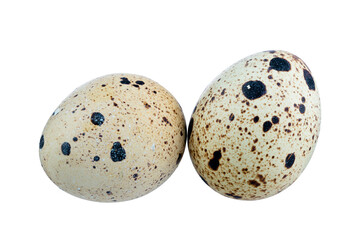 Brown quail egg isolated on white background. Full Depth of field. Focus stacking. PNG